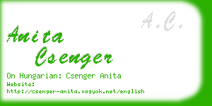 anita csenger business card